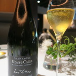 レフェルヴェソンス - Ulysse Collin Les Maillons Blanc de Noir Extra Brut