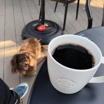 スターバックスコーヒー - 