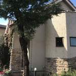 ドゥブルベ・ボレロ - 