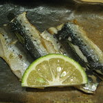 すし栄 - 焼いわし