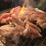 Sendai Horumon Yakiniku Tokiwatei - 鶏肉盛合せ 