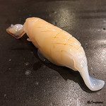 小判寿司 - 槍烏賊 ｴﾝﾍﾟﾗｰ