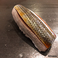 小判寿司 棚倉 - 小鰭