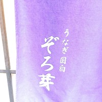 うなぎ 目白ぞろ芽 - 