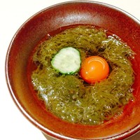 うなぎ 目白ぞろ芽 - 