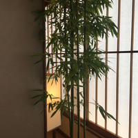 新宿 京懐石 柿傳 - 