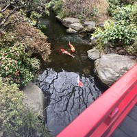 とうふ屋うかい 鷺沼店 - 