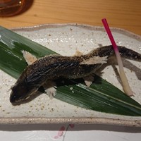 柳家錦 - 