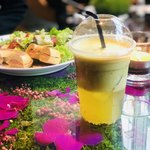 Nicolai Bergmann NOMU - 