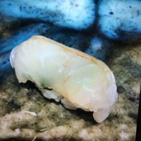 銀座 久兵衛 帝国ホテル大阪店 - 