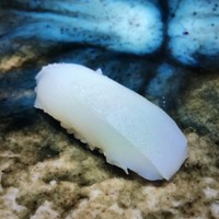 銀座 久兵衛 帝国ホテル大阪店 - 