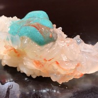 鮨みなと - トップフォト 活牡丹海老の握り