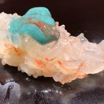 鮨みなと - 活牡丹海老