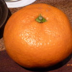 柳家 - 紀州勝浦産みかん