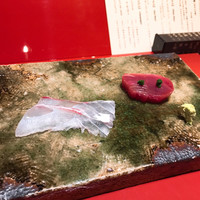 鮨　銀座　鰤門 - 
