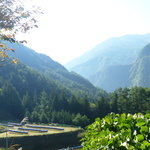 延齢草からの風景