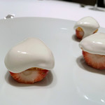 カンテサンス - 