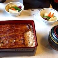 鰻割烹 伊豆栄 本店 - 25363358.jpg