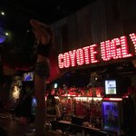 COYOTE UGLY SALOON - 