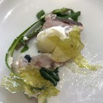 クイントカント - 