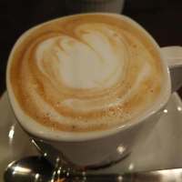 オッジ ダルマット 西麻布店 - 