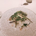 ブレストンコート ユカワタン - 