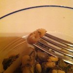 トラットリア シチリアーナ・ドンチッチョ - カサレッチェ！断面がS字なんですね☆