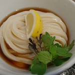 Sanuki Udon Habaya - 