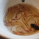 ようちゃん - しろうお おどり