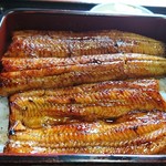 錦水 - 鰻重上のアップ