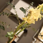 和食堂よこやま - 