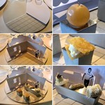 El Celler de Can Roca - Amuse ②