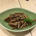 TOMISUSHI ECHIGOTEI - 