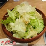 Yakiniku Sanga - てんこ盛り山河サラダ(レタス、玉ねぎ)