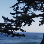 ヴィラ・デル・ソル - 