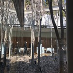 El Celler de Can Roca - 中庭