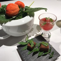 レフェルヴェソンス - 