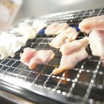 ホルモンと日本酒 ホルモン屋かねちゃん - 焼くべし焼くべし‼︎