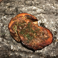 コントワール ミサゴ - 
