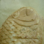 佐川末廣堂 - 顔アップ