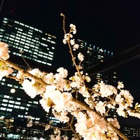 神楽坂焼肉 Kintan - 