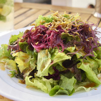 レストラン ラ・マーレ - 