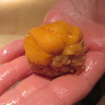 菊鮨 - 馬糞海胆