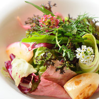 季節のランチコース