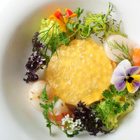 Specialランチコース