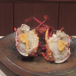 菊鮨 - 伊勢海老