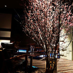 バー カヴァロ - 