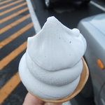 彩里 - ねば？ずっしり？