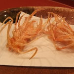 天ぷら わかやま - ２０１１年１１月