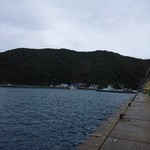 愛南 市場食堂 - 漁協からの景色